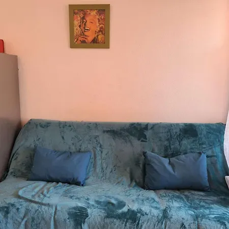 Appartement Appt 2 Pieces 4 Couchages Cap D'agde Ct045-173